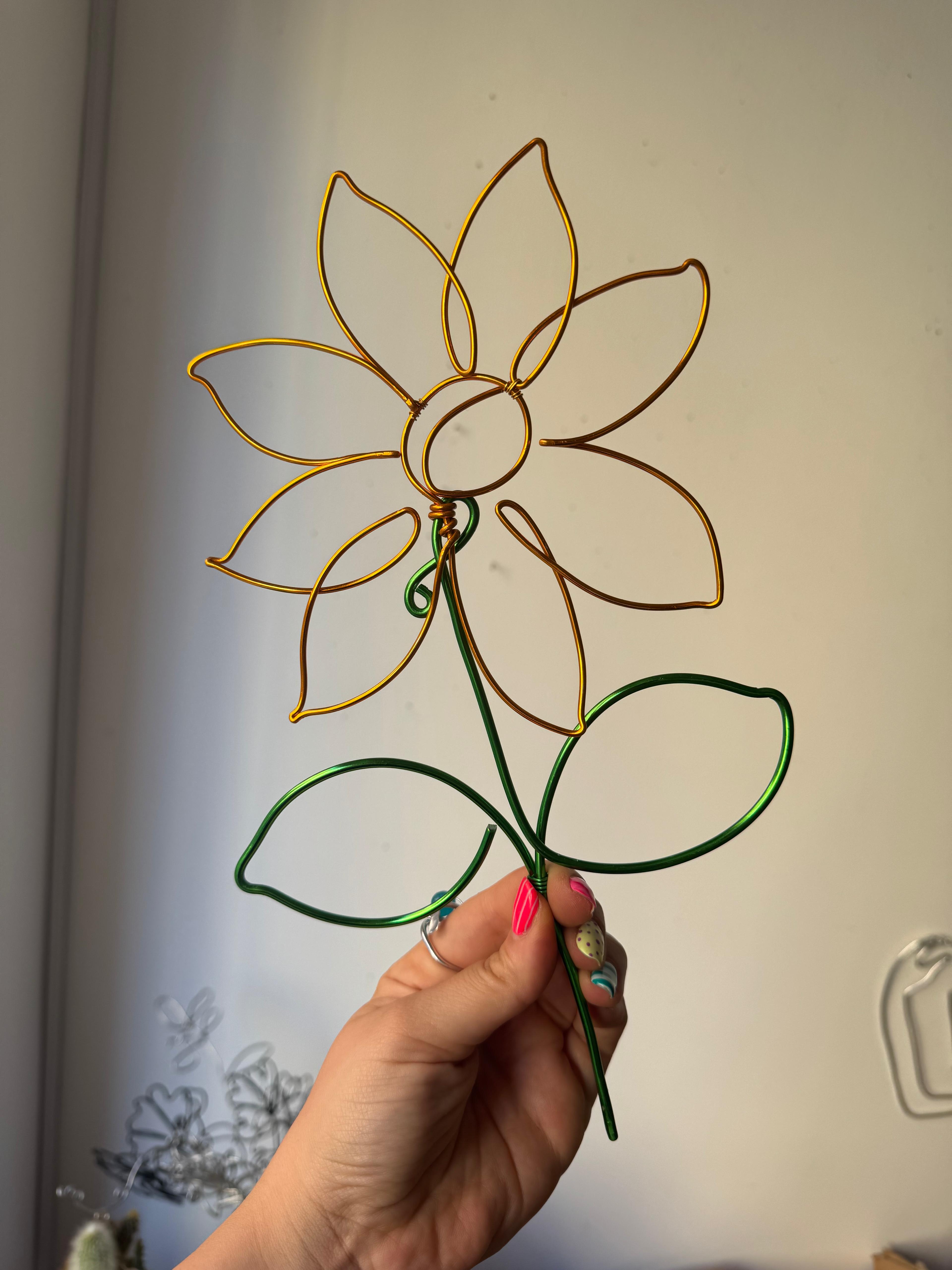 Girasole