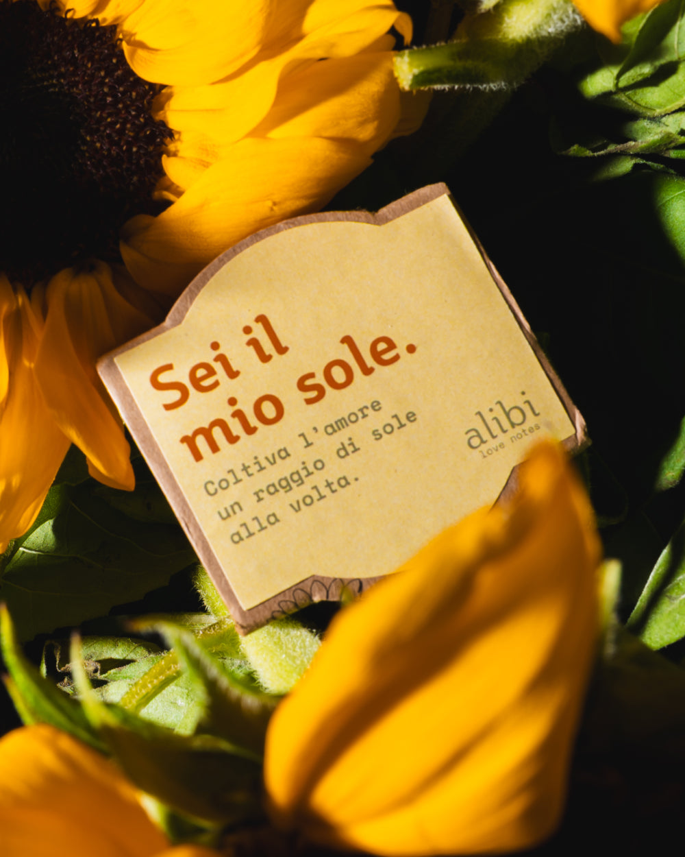 Vasetto "Sei il mio Sole"